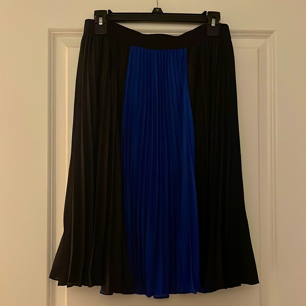Knee Length Pleated Skirt